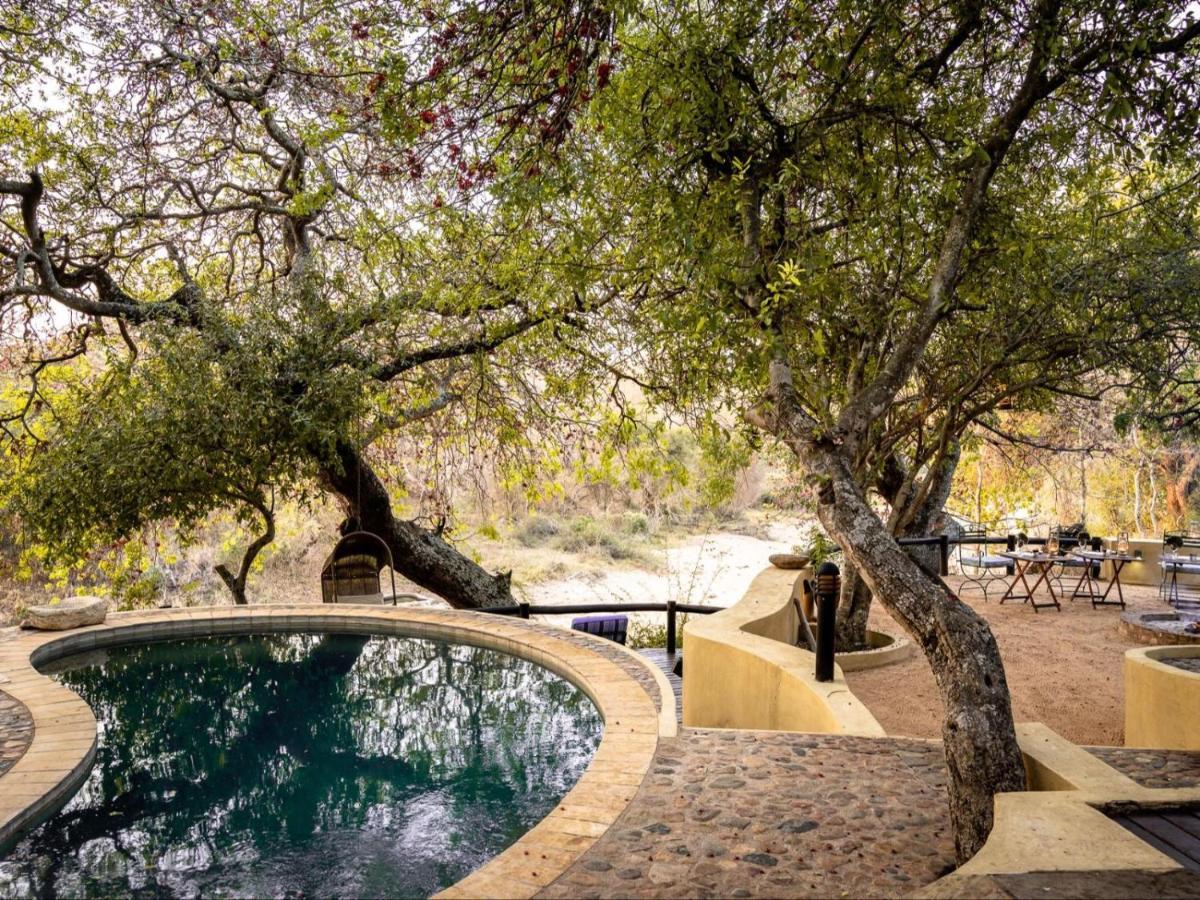 Shimungwe Lodge, Thornybush Game Reserve Hoedspruit Esterno foto