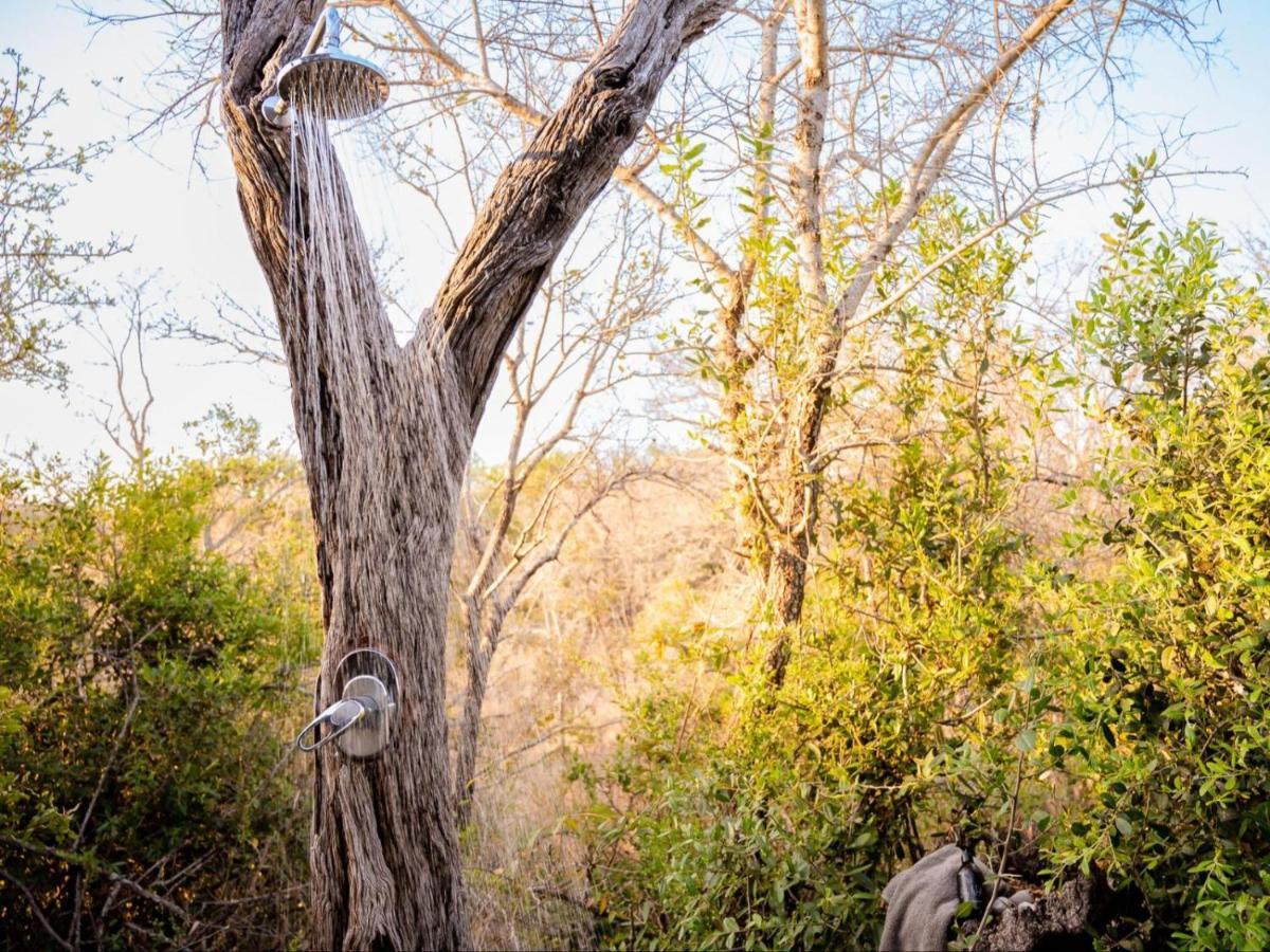 Shimungwe Lodge, Thornybush Game Reserve Hoedspruit Esterno foto